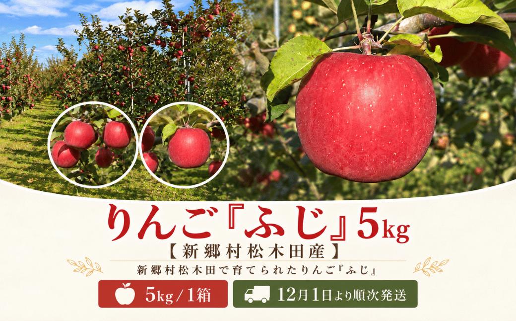 
                  りんご「ふじ」5kg【新郷村松木田産】
                