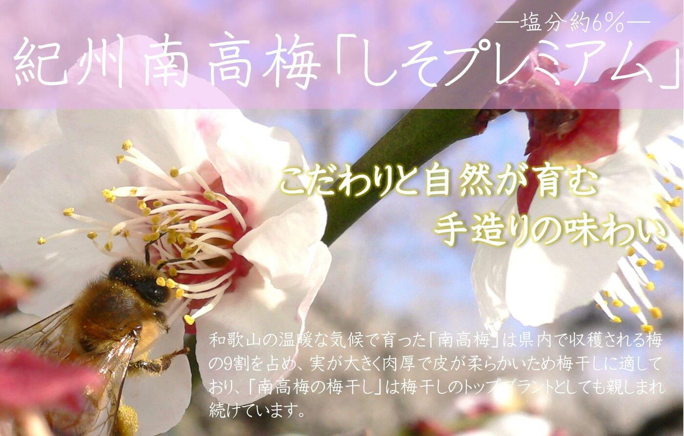 【定期便・3ヵ月毎 全3回】紀州南高梅 しそプレミアム 850g ［YM14］