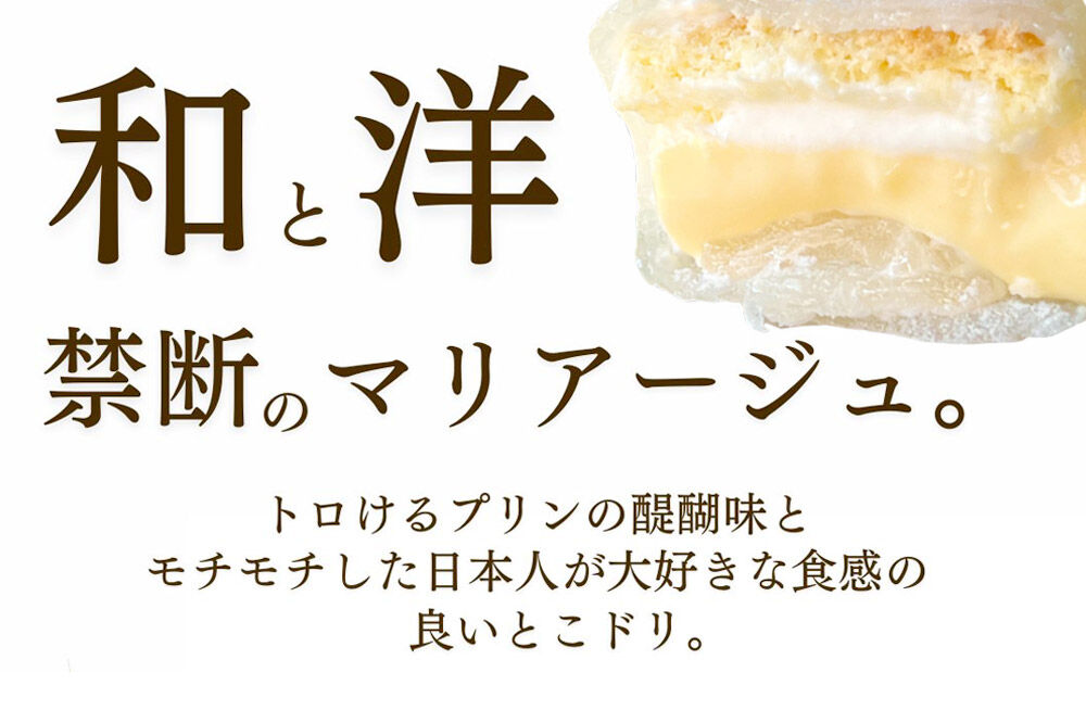 奥州陸前 もちぷりん プレーン 6個入【簡易包装】 [餅 もち プリン アイス 和菓子 洋菓子]