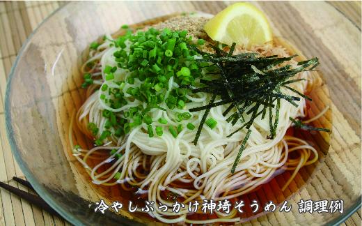 佐賀県特産品 神埼そうめん 17入 つゆ付 【そうめん 神埼そうめん 乾麺 特産品 御中元 夏 自家用】(H014109)