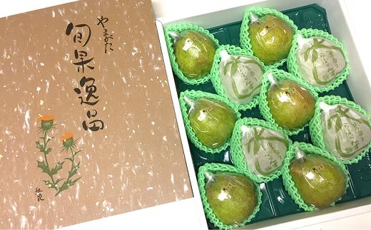 10玉入りイメージ