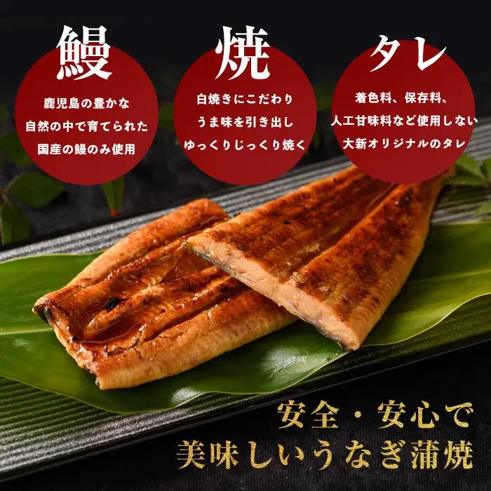 【丑の日に合わせてお届け！】鹿児島県産 うなぎ蒲焼 じっくり焼き約125g×2尾 化粧箱 入り(大新/IB021-011u) うなぎ