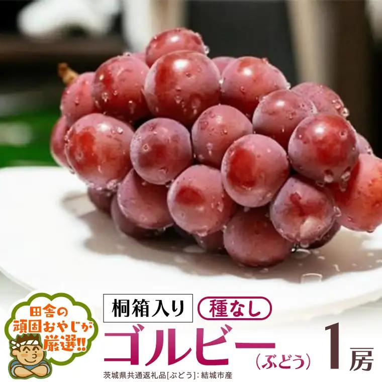 【 桐箱入り 】ゴルビー （ ぶどう ） 1房 【2026年9月から発送開始】（茨城県共通返礼品 [ぶどう]：結城市産）