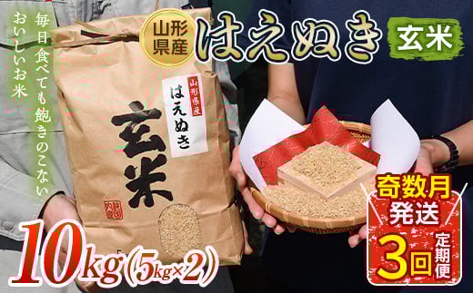はえぬき 玄米 5kg×2 定期便3回（奇数月配送）  米 お米 コメ ごはん ご飯 食品 山形県 FSY-1311