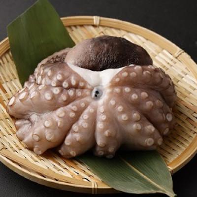 ふるさと納税 阪南市 【2025年9月27日より順次発送】大阪産「泉タコ(生たこ)」650g(1杯〜3杯) |  | 03