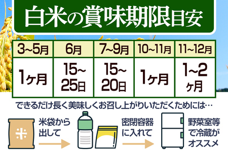【白米】＜令和6年産 新米予約＞ 《定期便3ヶ月》秋田県産 あきたこまち 15kg (5kg×3袋)×3回 15キロ お米【2024年秋 収穫後に順次発送開始】