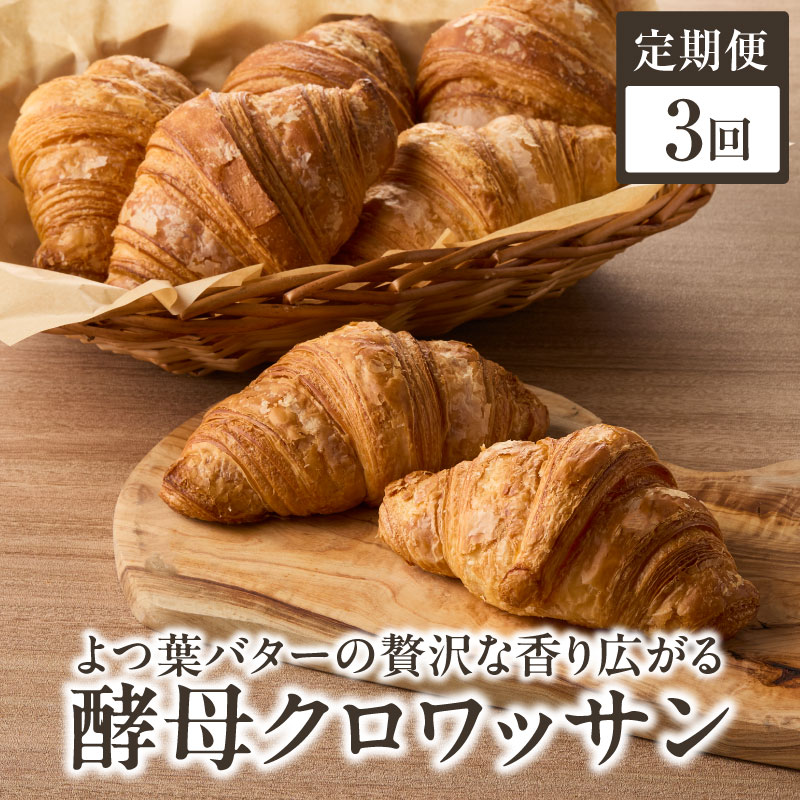 【全3回定期便】よつ葉バターの香り♪酵母クロワッサン１０個