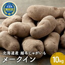 【ふるさと納税】北海道産 越冬じゃがいも メークイン 10kg　【野菜・じゃがいも】　お届け：2024年3月上旬～4月上旬