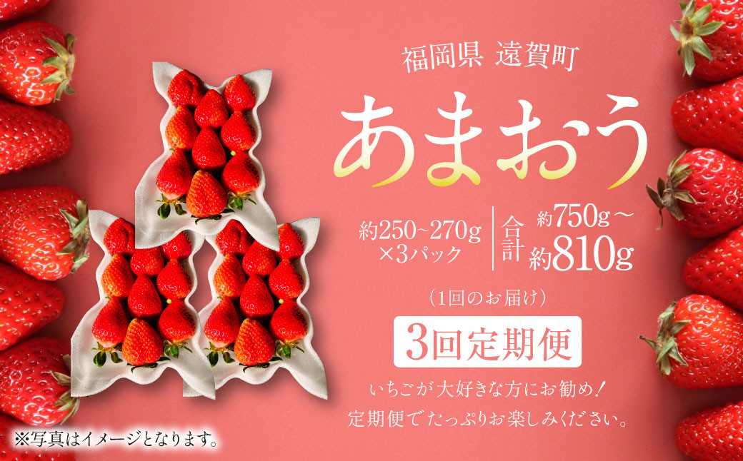 
【3回定期便】あまおう 3パック 計約750～810g ×3回 あまおう いちご イチゴ 苺 果物 くだもの フルーツ 定期便【2025年1月下旬～3月下旬発送予定】
