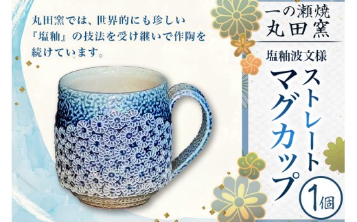 一の瀬焼 丸田窯 マグカップ 塩釉波文様 ストレート A10-006