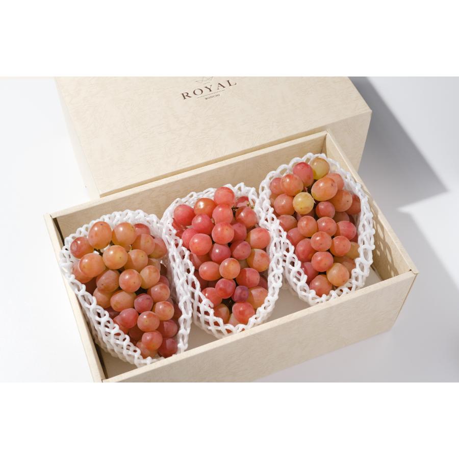 ＜Bonchi＞甲州市産大粒サンシャインレッド3房入（630g相当／房）自然農法