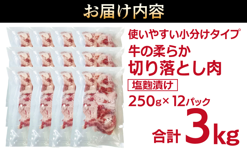 牛肉 切り落とし 塩麹漬け 合計3kg【味付け 小分け 焼くだけ 簡単調理 BBQ 牛肉 250g×12袋】 099H3388_イメージ4