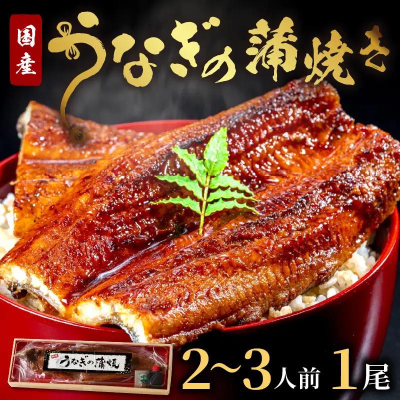 【うなぎの蒲焼】うなぎの蒲焼き1尾 国産