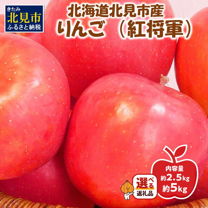 【ふるさと納税】【予約：2025年10月下旬から順次発送】【選べる内容量】北海道北見市産りんご 紅将軍 約2.5kg 約5kg( りんご リンゴ 林檎 果物 2.5キロ 5キロ フルーツ 期間限定 選べる )