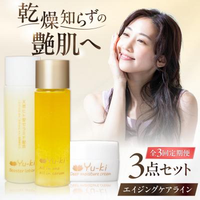 ふるさと納税 糸島市 【全3回定期便】エイジングケアライン 3点セット[AHJ032]
