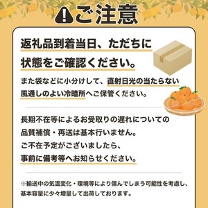 オレンジ園の土佐文旦10kg 柑橘 フルーツ みかん ザボン ぶんたん 先行予約【R00542】
