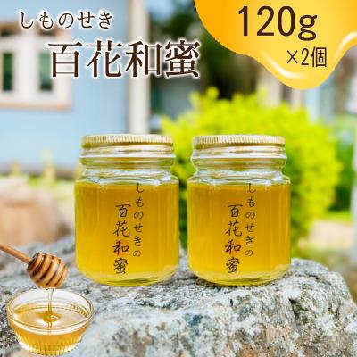ふるさと納税 下関市 【しものせきの百花和蜜】 はちみつ ニホンミツバチはちみつ 240g 120g2個 NB002