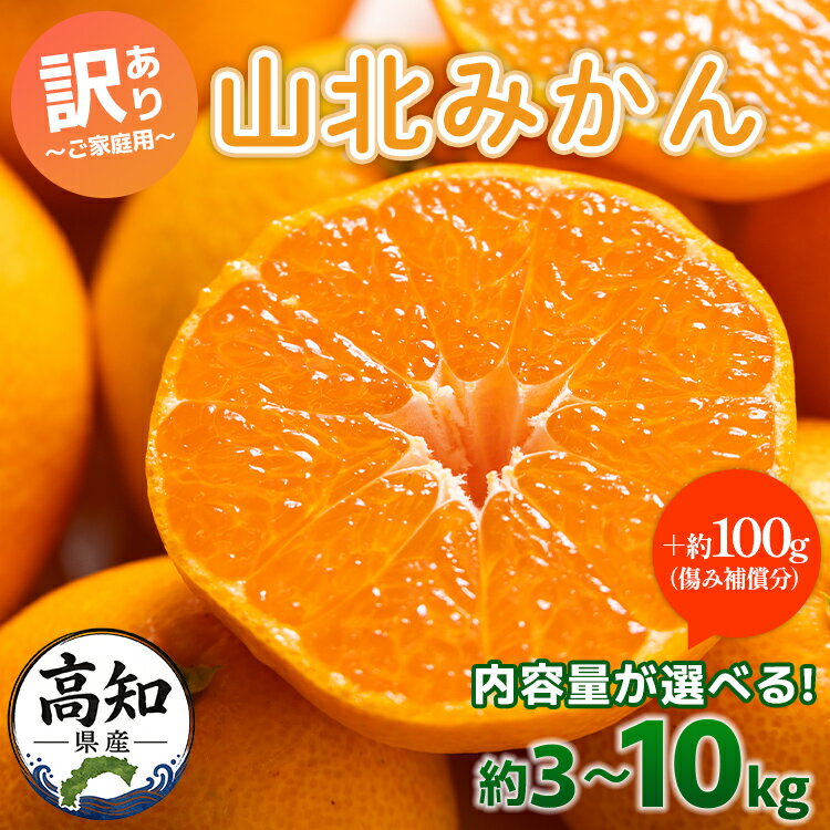【ふるさと納税】【選べる内容量】訳あり 山北みかん 家庭用 約3kg/約5kg/約10kg- 大容量 果物 フルーツ 温州みかん ミカン お歳暮 訳アリ わけあり 甘い S M L 小玉 大玉 小粒 大粒 ジュース 箱 美味 送料無料 糖度 品種 山北みらい 5キロ 柑橘 【常温】 Ryk-0033