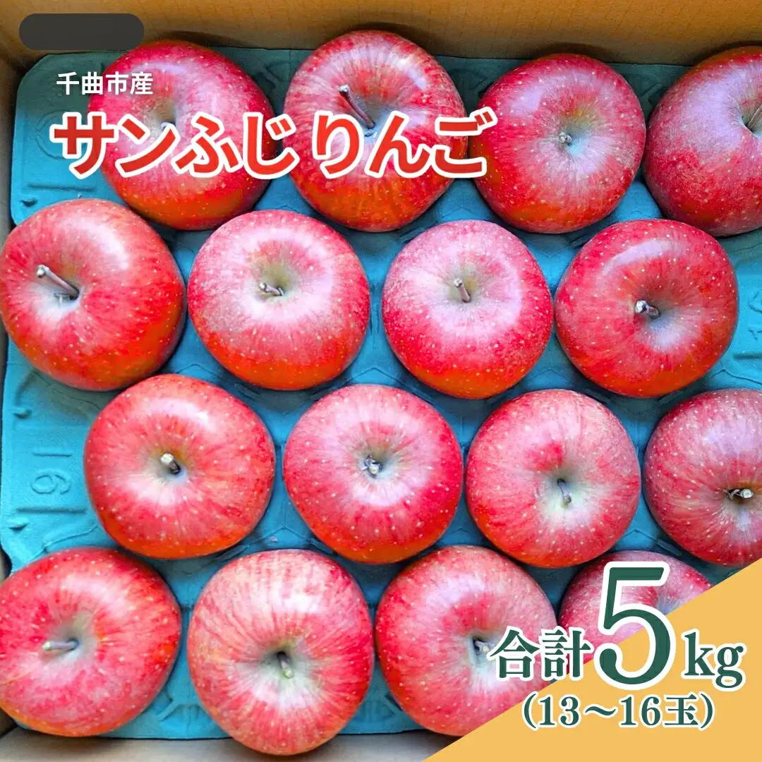 【2026年先行予約】千曲市産 サンふじ りんご 約5kg （13~16玉）|りんご