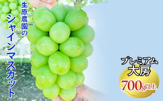 【2024発送】【期間限定】フルーツ王国笛吹市の【大粒】シャインマスカット1房700g以上 137-002  　発送 先行 2024 山梨 笛吹市 山梨県産 シャインマスカット 高レビュー 数量限定 冷蔵配送 クール便 