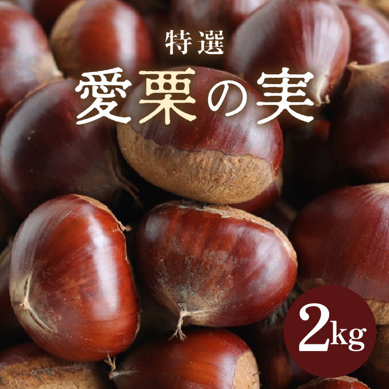 【ふるさと納税】【先行予約】《数量限定》愛栗の実 特選 2kg 新鮮 栗 甘栗 ※2026年9月下旬より順次発送予定