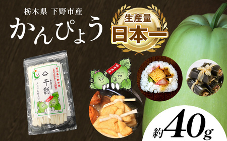 【ふるさと納税】下野ブランド 下野市産かんぴょう 約40g×1袋 | 干瓢 野菜 乾物 栃木県 特産品