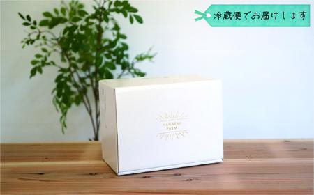 【2616-0435】岡山 花笑み農園『ニューピオーネ』700g以上(大1房) P-大1