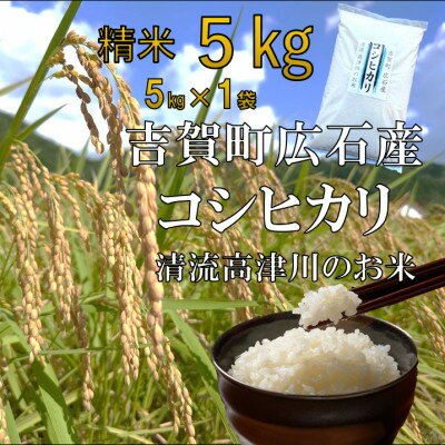 【ふるさと納税】令和6年産　吉賀町広石産コシヒカリ　清流高津川のお米　精米5kg【1596753】