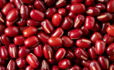 〈大粒 2Lサイズ〉丹波篠山産 大納言小豆 250g×4袋 計1kg（鮮度長持ち 真空パック）あずき  Y089