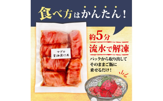 3種の漬け丼セット 90g×各5パック 【計15パック】 3種×各5パック