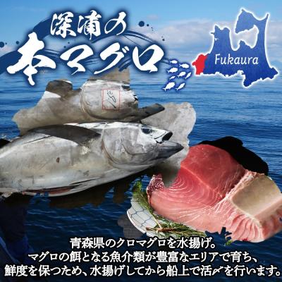 ふるさと納税 深浦町 国産天然本マグロの赤身・中トロ・大トロセット【No.5296-0031】 |  | 02