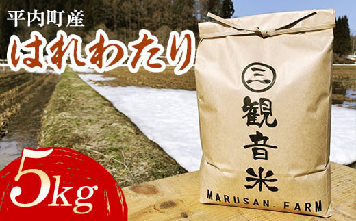 
100年続く米農家 新米 特 A はれわたり 5kg （令和6年産）【マルサンファーム】 白米 精米 米 お米 おこめ コメ 東北 青森県 平内町 F21J-126
