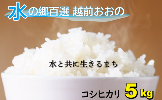 【令和7年産】こしひかり（福井県大野市産）エコファーマー米（白米）5kg[A-003006]