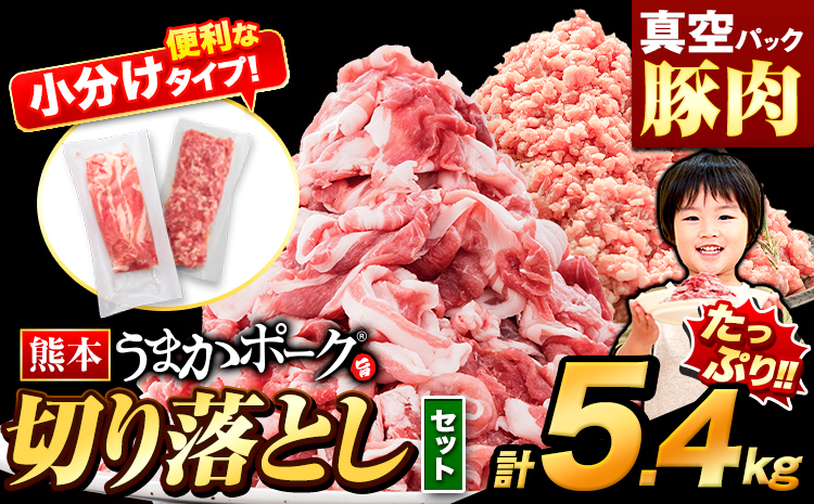 豚肉 切り落とし ＆ ミンチ ハーフセット  3セット 5.4kg 豚 細切れ こま切れ 豚こま 豚小間切れ 豚しゃぶ 小分け 訳あり 訳有 ひき肉 うまかポーク 傷 規格外 ぶた肉 ぶた 真空パック