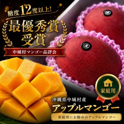 【2026年6月下旬から順次発送】マルトウマンゴーの家庭用アップルマンゴー1kg【配送不可地域：離島】