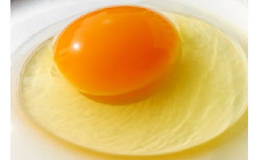 江原ファーム　体に優しい地養卵 ５０個 割れ補償 | 卵 50個 赤玉 玉子 たまご タマゴ 生卵 鶏卵 生みたて 産みたて 地養卵 新鮮 濃厚 健康 TKG たまごかけごはん ご飯のお供 国産 ギフ