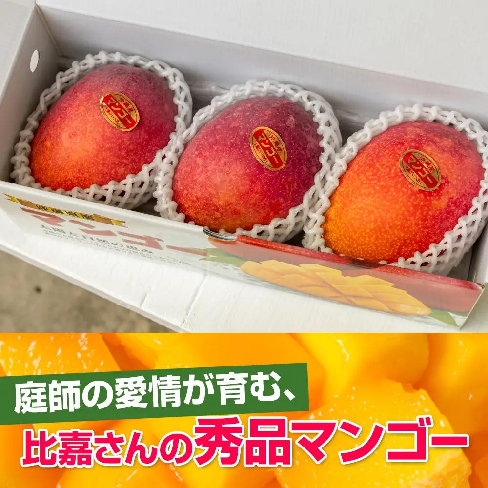 【2027年発送】比嘉マンゴーファームのアーウィンマンゴー 秀品（贈答用）1kg