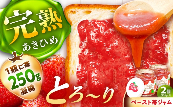 
            完熟苺のとろーりジャム / ジャム いちごジャム いちご 苺 あきひめ 国産 イチゴジャム ジャム 栄養 効果 美味しい 瓶詰め ギフト 贈答 プレゼント パン トースト 朝食 ヨーグルト アレンジ / 恵那市 / 阿部農園 [AUGA007]
          