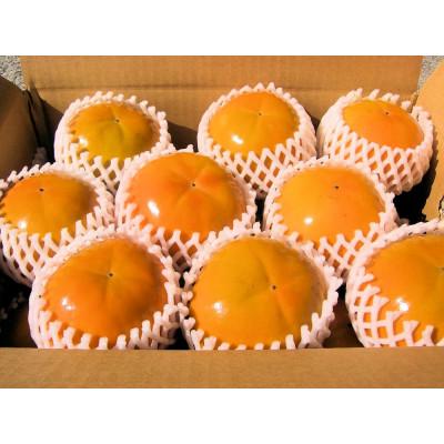 ふるさと納税 御坊市 富有柿 3.5kg(13〜17個)和歌山産 |  | 02