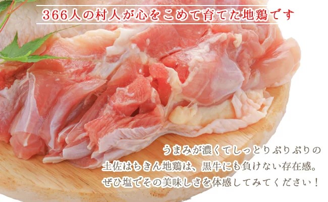 土佐はちきん地鶏600g （300g×2）大川黒牛180g 大川村謝肉祭のたれ400g 塩30g ポン酢200ml 地鶏 詰合せ もも肉 モモ むね肉 ムネ 胸肉 鶏肉 とり肉 とりにく 肉 高知県 