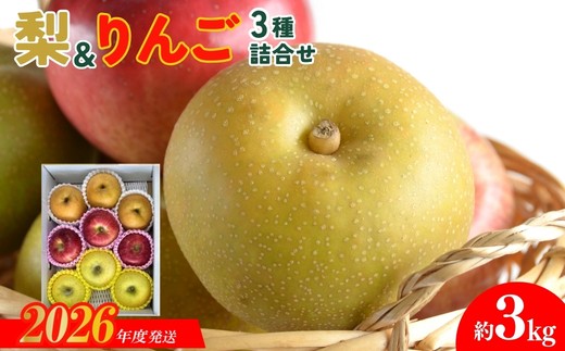 No.3021 なし＆りんご詰合せ 3種 約3kg 【2026年発送】