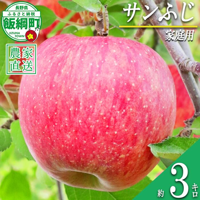 【ふるさと納税】 りんご 食べきり サンふじ 家庭用 3kg 大友農場 エコファーマー認定 沖縄県への配送不可 令和8年度収穫分 長野県 飯綱町 【 信州 果物 フルーツ リンゴ 林檎 長野 予約 農家直送 10000円 】発送時期：2026年12月中旬〜2027年1月末{**}
