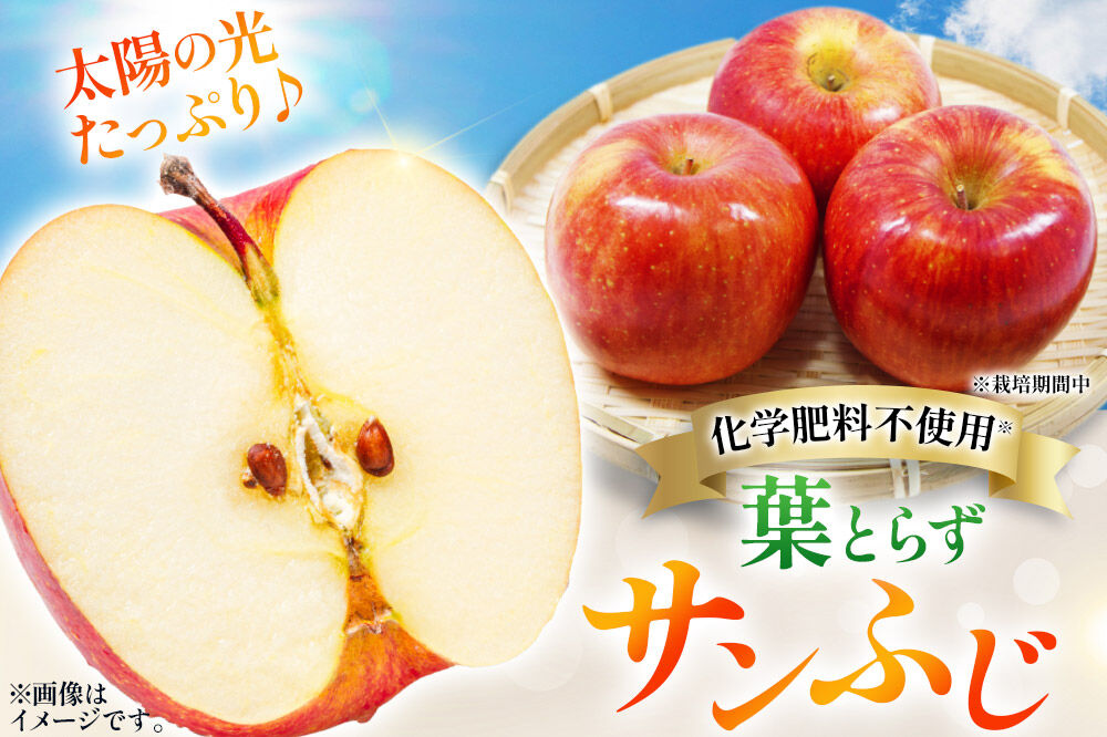 【26年11月下旬〜発送】りんご 葉とらず サンふじ＆名月 セット【訳あり】約10kg【先行受付】カワムラファーム 青森県 弘前市 果物 フルーツ 林檎 リンゴ くだもの 不揃い 規格外 [先行予約 