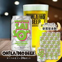 【ふるさと納税】ヌーベルセゾン24本 クラフトビール 地ビール