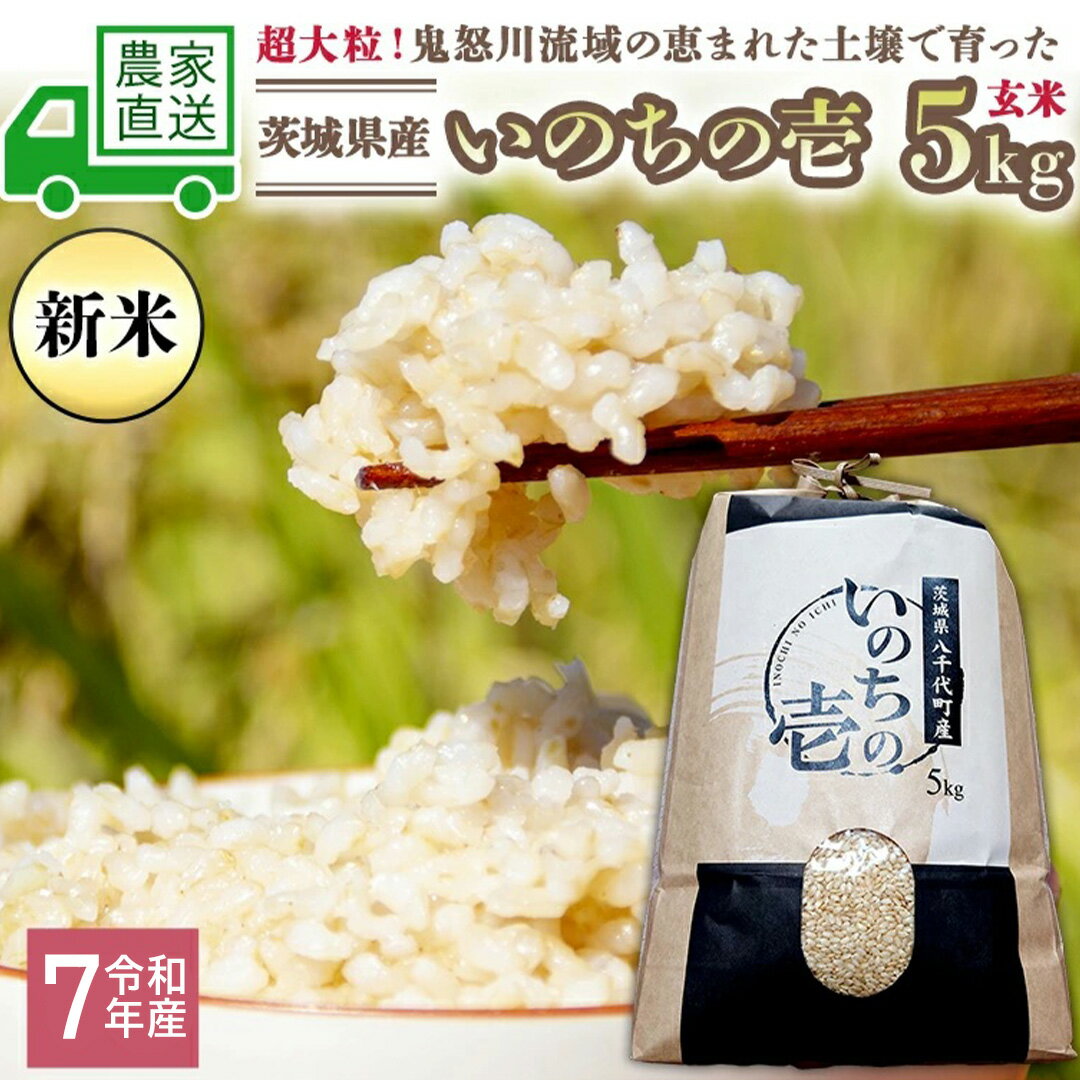 【ふるさと納税】令和7年産 新米 茨城県産 いのちの壱 5kg 玄米 米 こめ コメ 茨城県 国産 いばらき 単一米 単一原料米 大粒 農家直送 [BG013ya]