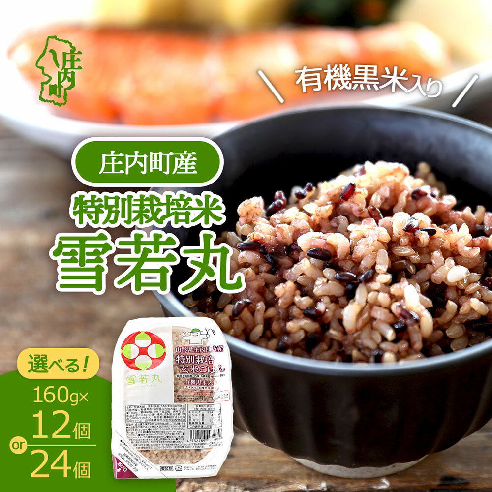 【ふるさと納税】雪若丸 特別栽培玄米 パックごはん 160g×12個 or 24個 選べる内容量 有機黒米入 健康 ダイエット 備蓄 保存食 防災 簡単レンジ 温めるだけ 湯煎調理 レトルト ごはん パック 玄米 ライス ふるさと納税 山形 庄内