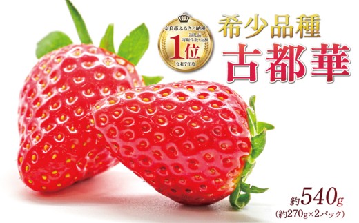 いちご ことか 約270g×2パック 先行予約 2027年発送 古都華 サイズ混合 数量限定 産地直送 春 旬 国産 冷蔵 イチゴ 苺 itigo ichigo strawberry ストロベリー フルーツ 果物 くだもの 小分け ブランドいちご ふるさと納税いちご ふるさと納税イチゴ 奈良いちご 甘い 人気 おすすめ 贈答 プレゼント ギフト お歳暮 奈良県 奈良市 奈良 いちご農家だるま