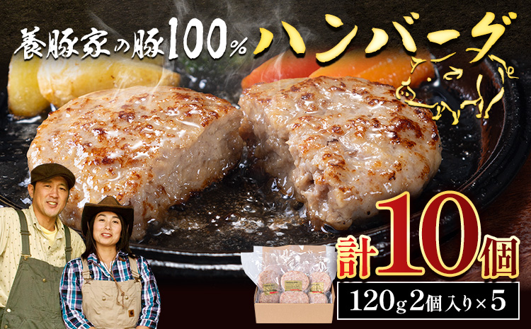 養豚家の豚100％ハンバーグセット 120g2枚入りパック×５セット計１０枚 豚肉 肉 厳選 国産 厳選 お取り寄せ グルメ おかず おすすめ スマイル ポーク 加工品 惣菜 簡単 冷凍 キャンプ B