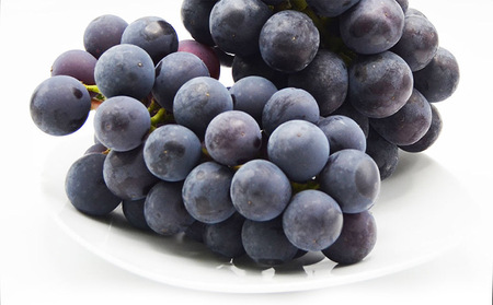 【ご家庭用】山形のピオーネ 優品 約2kg(2～6房)[10月中旬～11月中旬お届け]【令和6年産先行予約】 FS23-646