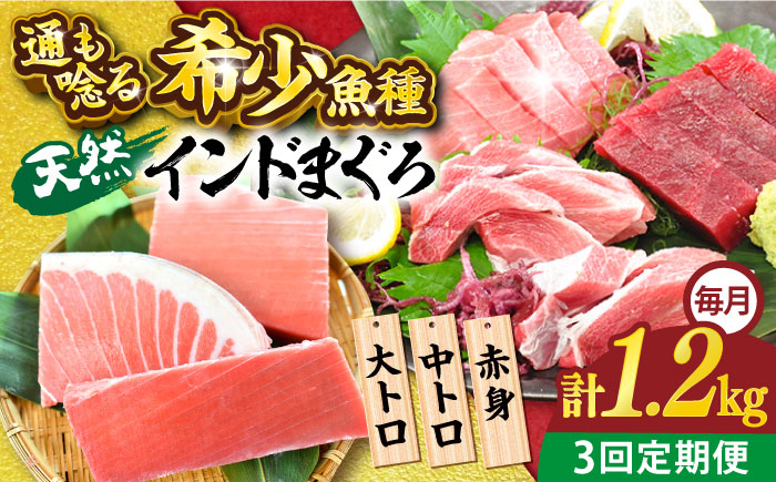 
【全3回定期便】天然 まぐろ 大トロ・中トロ・赤身（約200ｇ×6柵）約1200ｇ 鮪 マグロ 魚 刺身 横須賀【横須賀商工会議所 おもてなしギフト事務局（本まぐろ直売所）】 [AKAK083]
